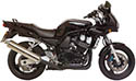 FZS 600 Fazer (98-04)